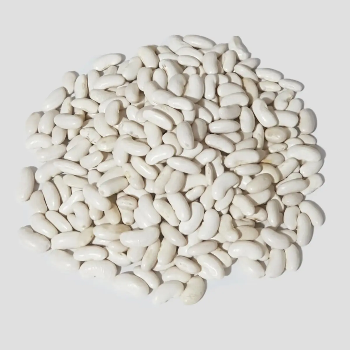 Ata Tohum Horoz Fasulye 1000g (1 Kilo) - Görsel 1